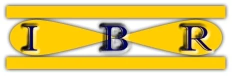 IBR LLC